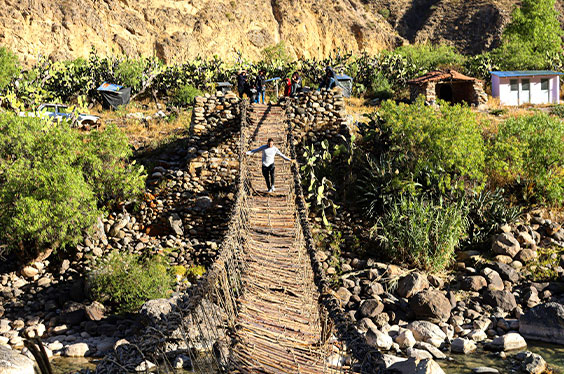 Ayacucho-Zamytour2.jpg