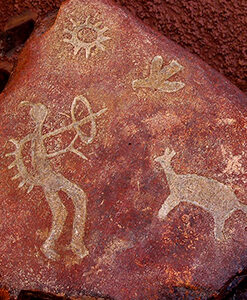 City Campiña - Miculla