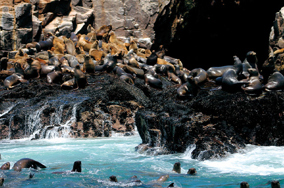 Mar-Adentro-Excursiones_2.jpg