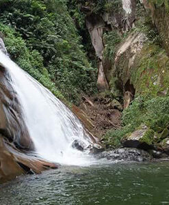 Huánuco, Tingo María y Ucayali