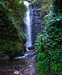 Oxapampa mágico y aventurero