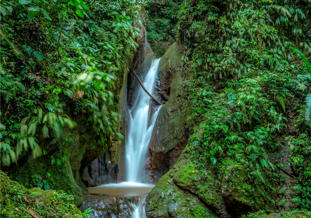 TingoMaria-aventura-Turismoenruedas_24032023_C-1.png