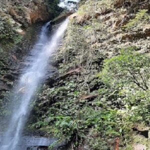 Topo lo que debes conocer cuando visites Tarapoto