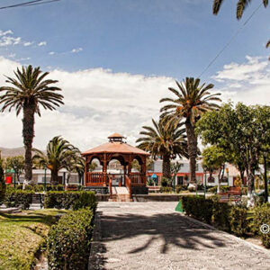 Ruta del Loncco magnífico en Arequipa