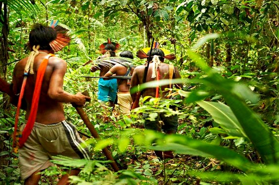 tarapoto-selva-y-naturaleza_1.jpg