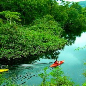 Tarapoto Selva y Naturaleza