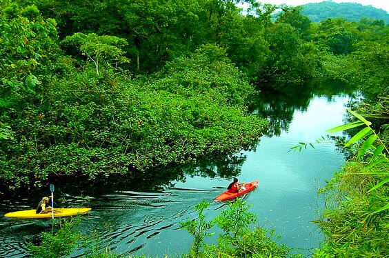 tarapoto-selva-y-naturaleza_2.jpg