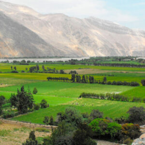 Valle de Majes, full encanto en Arequipa